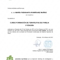 Acercar imagen: certificate 8