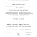 Acercar imagen: certificate 5