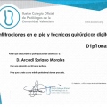 Acercar imagen: certificate 14