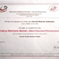 Acercar imagen: certificate 2