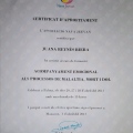 Acercar imagen: certificate 8