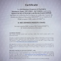 Acercar imagen: certificate 2