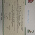 Acercar imagen: certificate 3