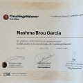 Acercar imagen: certificate 3