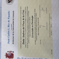 Acercar imagen: certificate 1