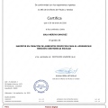 Acercar imagen: certificate 9