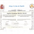 Acercar imagen: certificate 1