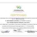 Acercar imagen: certificate 6