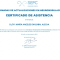 Acercar imagen: certificate 2