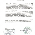 Acercar imagen: certificate 5