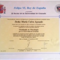 Acercar imagen: certificate 5