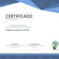 Acercar imagen: certificate 26