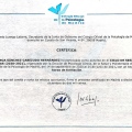 Acercar imagen: certificate 5