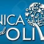 Centro de Fisioterapia  El Olivo