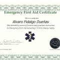 Acercar imagen: certificate 8