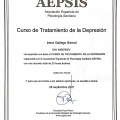 Acercar imagen: certificate 5