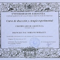 Acercar imagen: certificate 15
