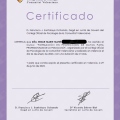 Acercar imagen: certificate 3