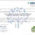 Acercar imagen: certificate 42