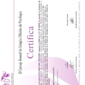 Acercar imagen: certificate 11