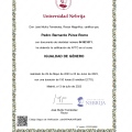 Acercar imagen: certificate 18
