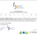 Acercar imagen: certificate 3