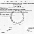 Acercar imagen: certificate 6