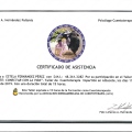 Acercar imagen: certificate 15