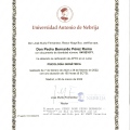 Acercar imagen: certificate 15