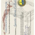 Acercar imagen: certificate 3