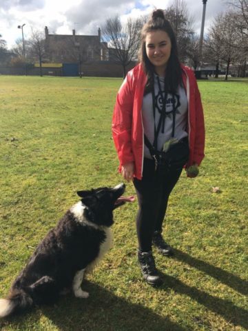 Molly & Angel Dog Jog Glasgow