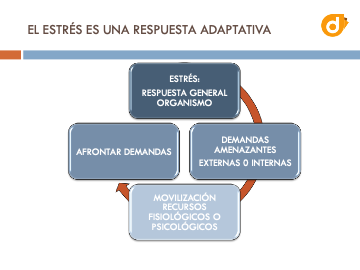 dokify homologacion de proveedroes control de estres