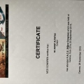 Resmi büyüt: certificate 8