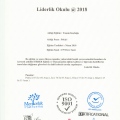 Resmi büyüt: certificate 22