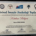 Resmi büyüt: certificate 5