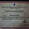 Resmi büyüt: certificate 29