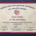 Resmi büyüt: certificate 6