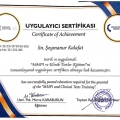 Resmi büyüt: certificate 21