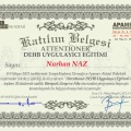 Resmi büyüt: certificate 7