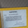Resmi büyüt: certificate 3