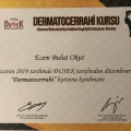 Resmi büyüt: certificate 6