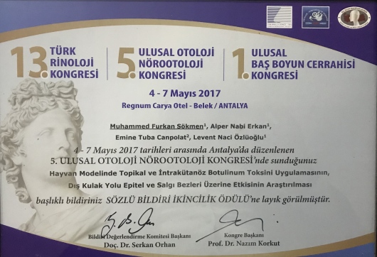 Muhammed Furkan Sökmen-29