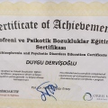 Resmi büyüt: certificate 1