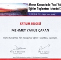 Resmi büyüt: certificate 38
