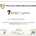 Resmi büyüt: certificate 15