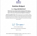 Resmi büyüt: certificate 10