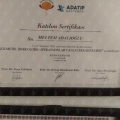 Resmi büyüt: certificate 2