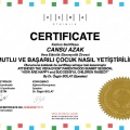 Resmi büyüt: certificate 2