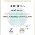 Resmi büyüt: certificate 8