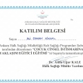 Resmi büyüt: certificate 26